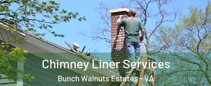 Chimney Liner Services Bunch Walnuts Estates - VA