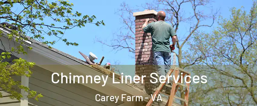 Chimney Liner Services Carey Farm - VA