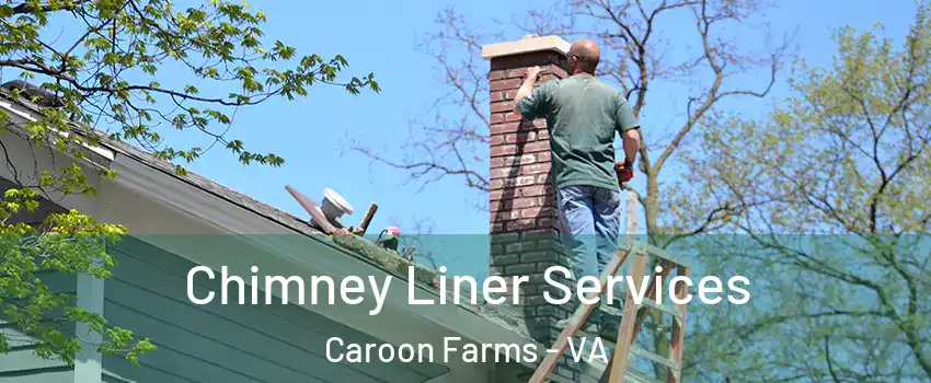 Chimney Liner Services Caroon Farms - VA