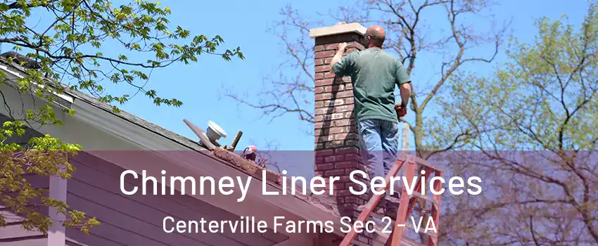Chimney Liner Services Centerville Farms Sec 2 - VA