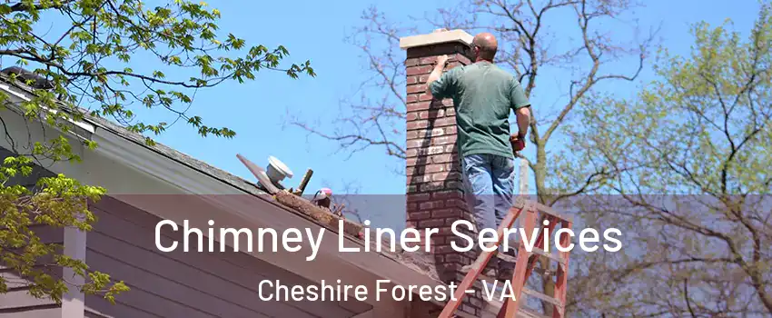 Chimney Liner Services Cheshire Forest - VA