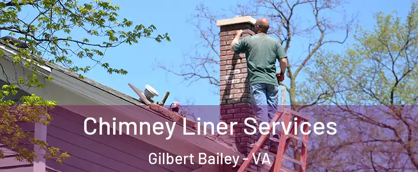 Chimney Liner Services Gilbert Bailey - VA