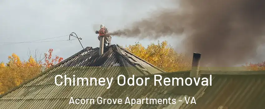 Chimney Odor Removal Acorn Grove Apartments - VA