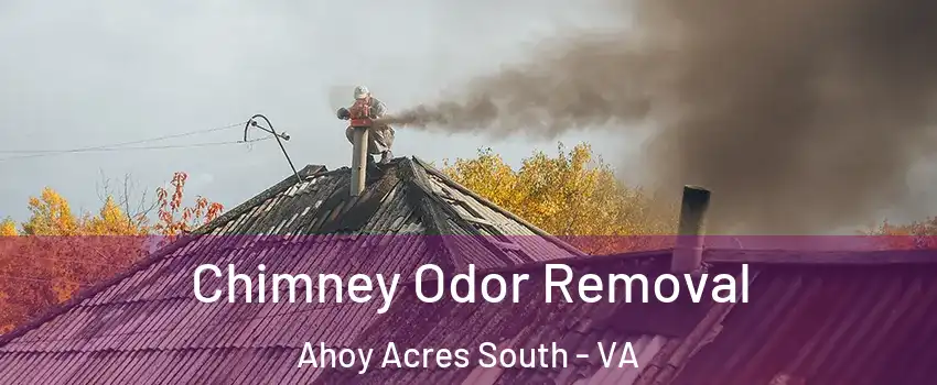 Chimney Odor Removal Ahoy Acres South - VA