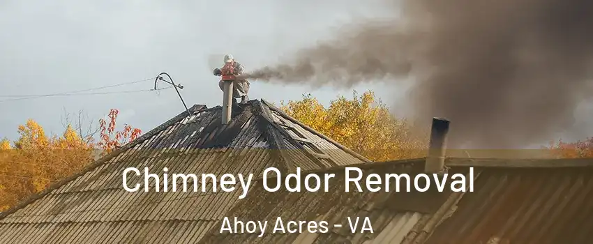 Chimney Odor Removal Ahoy Acres - VA