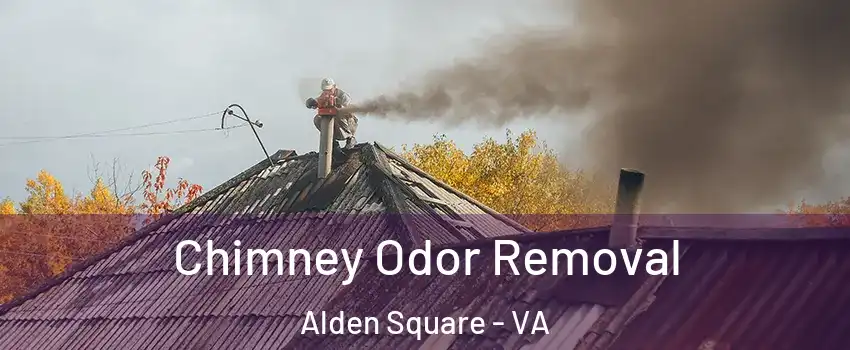 Chimney Odor Removal Alden Square - VA