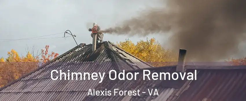 Chimney Odor Removal Alexis Forest - VA