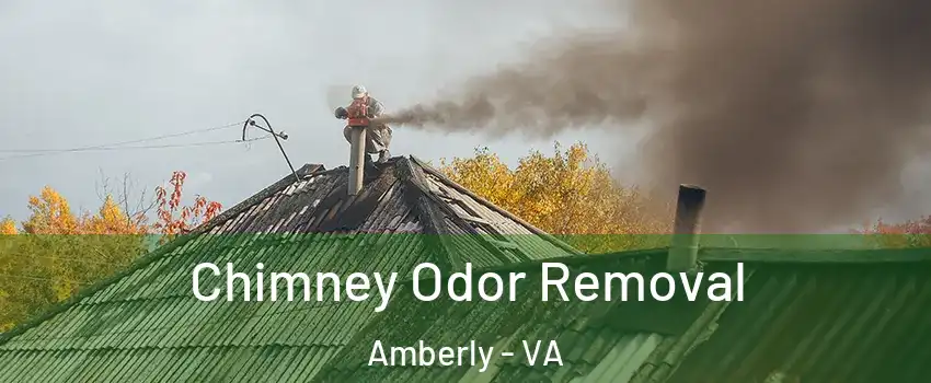 Chimney Odor Removal Amberly - VA