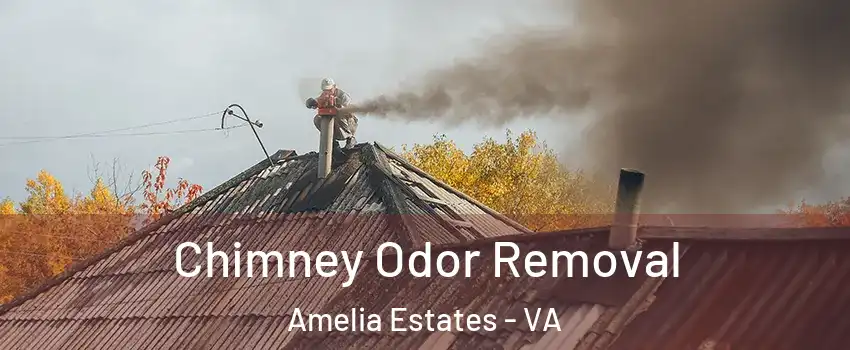Chimney Odor Removal Amelia Estates - VA