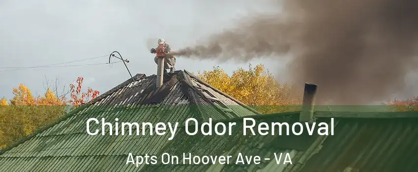 Chimney Odor Removal Apts On Hoover Ave - VA