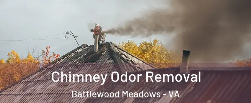 Chimney Odor Removal Battlewood Meadows - VA