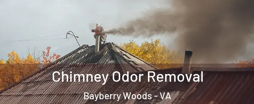 Chimney Odor Removal Bayberry Woods - VA