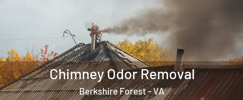 Chimney Odor Removal Berkshire Forest - VA