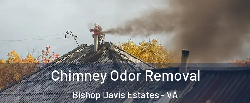 Chimney Odor Removal Bishop Davis Estates - VA