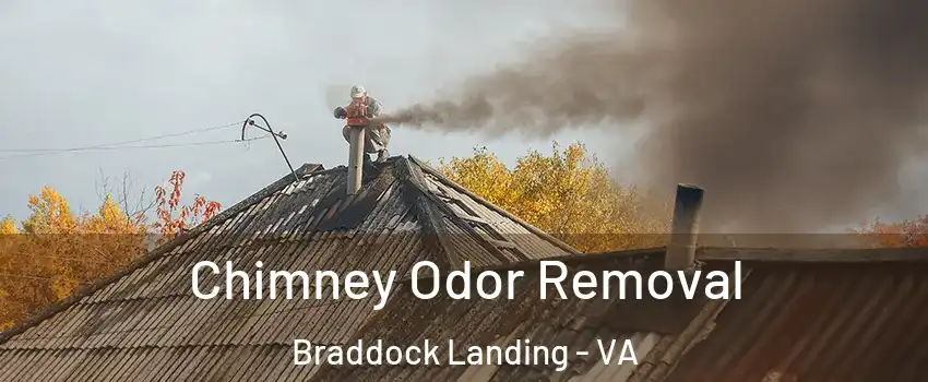 Chimney Odor Removal Braddock Landing - VA