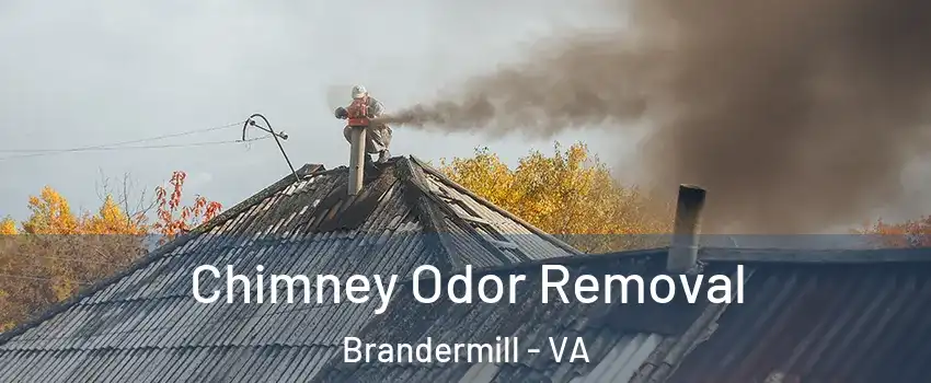 Chimney Odor Removal Brandermill - VA