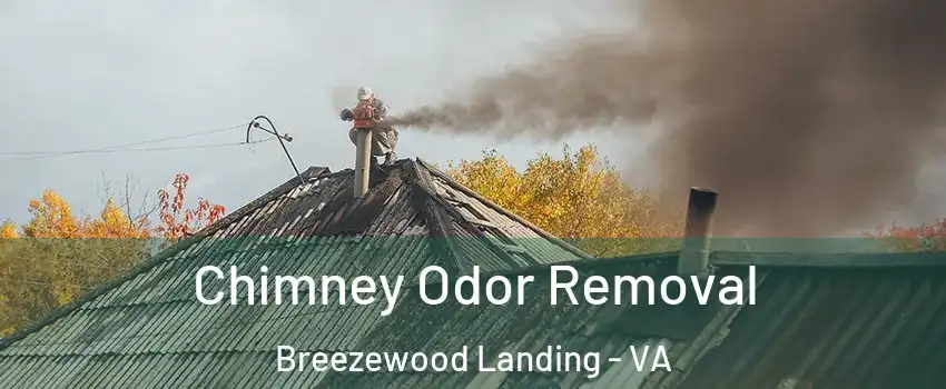 Chimney Odor Removal Breezewood Landing - VA