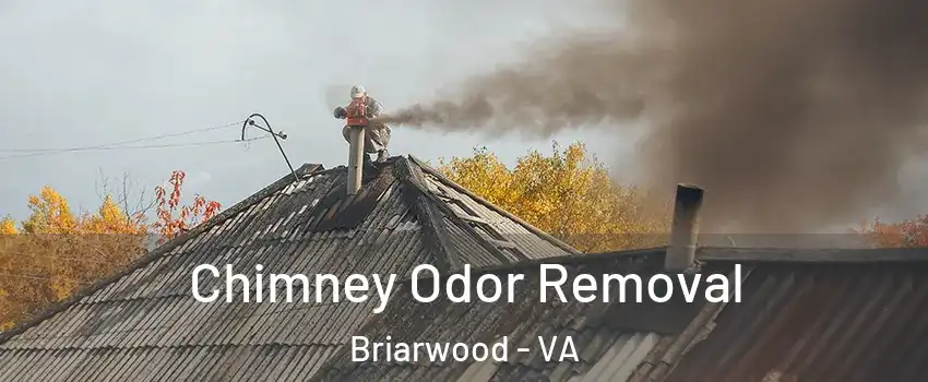 Chimney Odor Removal Briarwood - VA