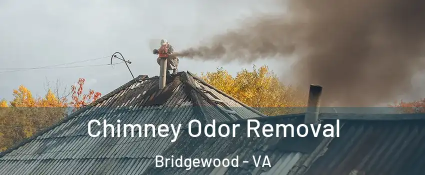Chimney Odor Removal Bridgewood - VA