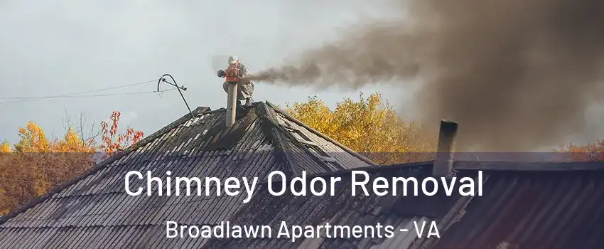 Chimney Odor Removal Broadlawn Apartments - VA