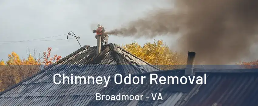 Chimney Odor Removal Broadmoor - VA