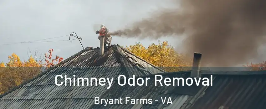 Chimney Odor Removal Bryant Farms - VA