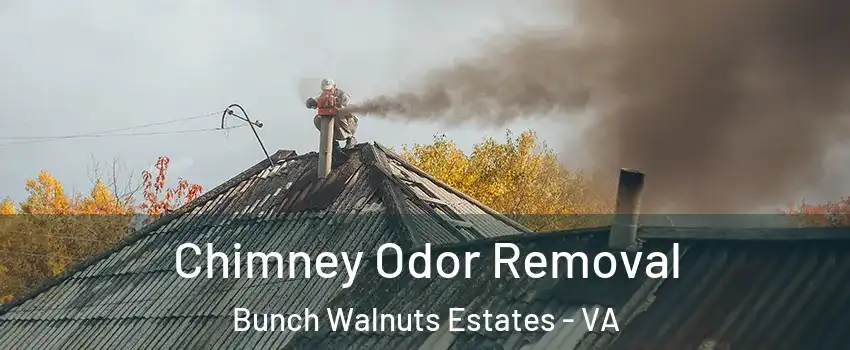 Chimney Odor Removal Bunch Walnuts Estates - VA