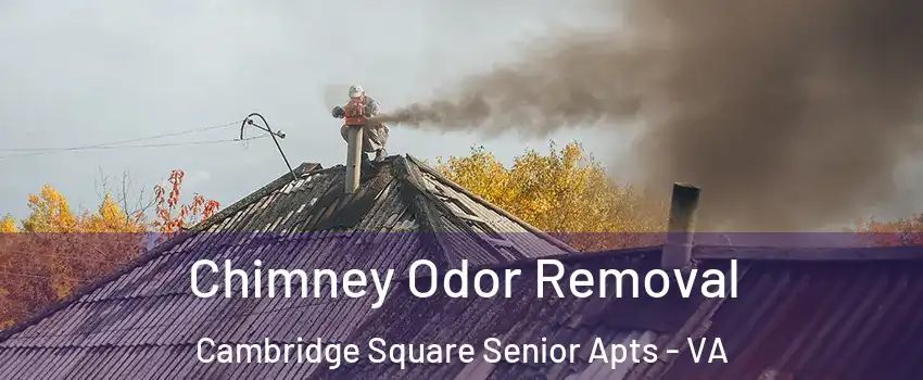 Chimney Odor Removal Cambridge Square Senior Apts - VA
