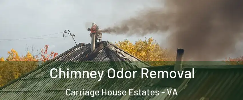 Chimney Odor Removal Carriage House Estates - VA