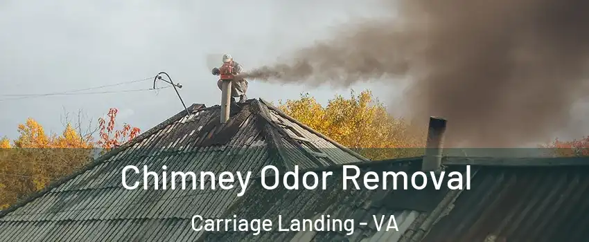 Chimney Odor Removal Carriage Landing - VA