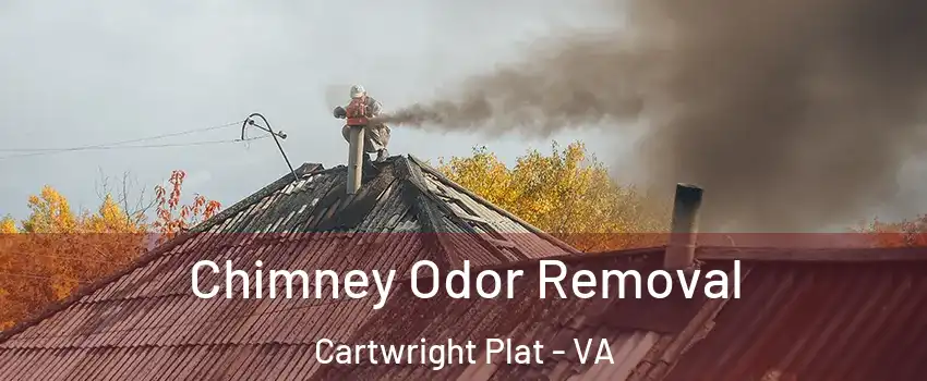 Chimney Odor Removal Cartwright Plat - VA