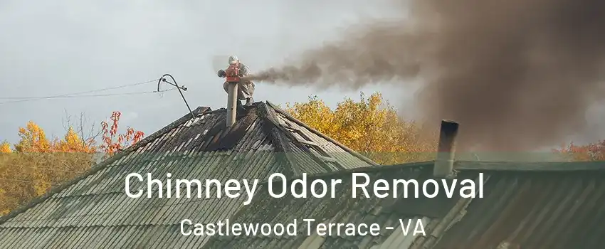 Chimney Odor Removal Castlewood Terrace - VA