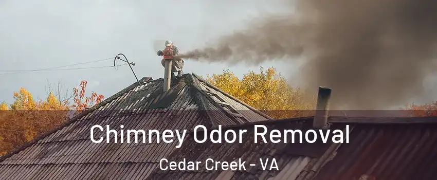 Chimney Odor Removal Cedar Creek - VA