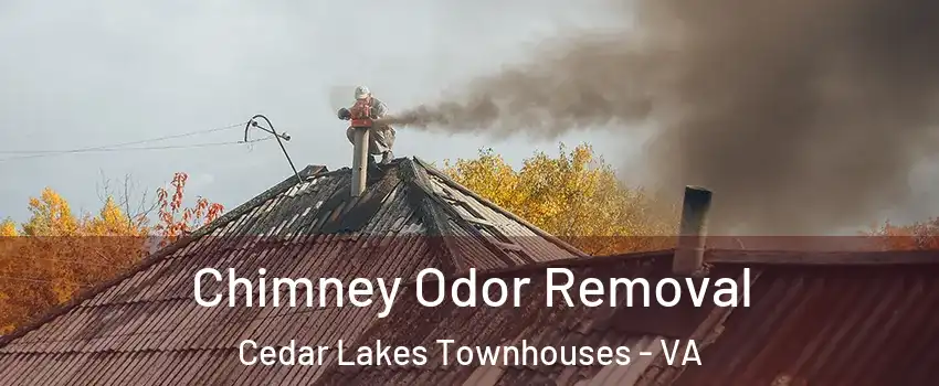 Chimney Odor Removal Cedar Lakes Townhouses - VA