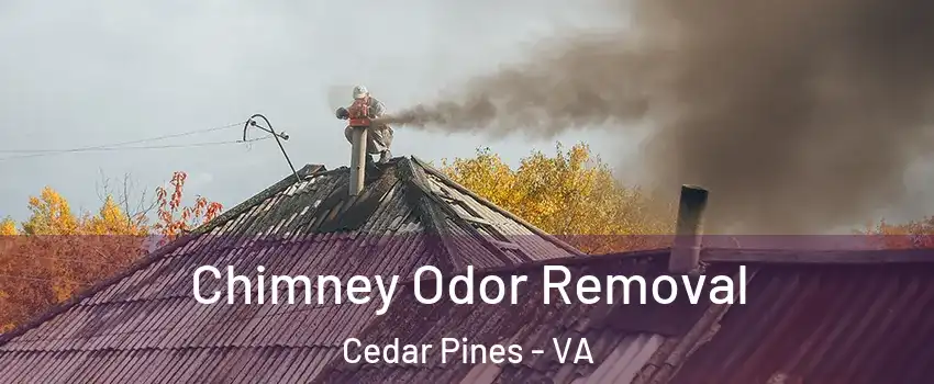 Chimney Odor Removal Cedar Pines - VA