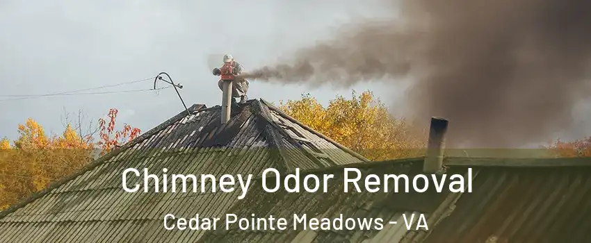 Chimney Odor Removal Cedar Pointe Meadows - VA