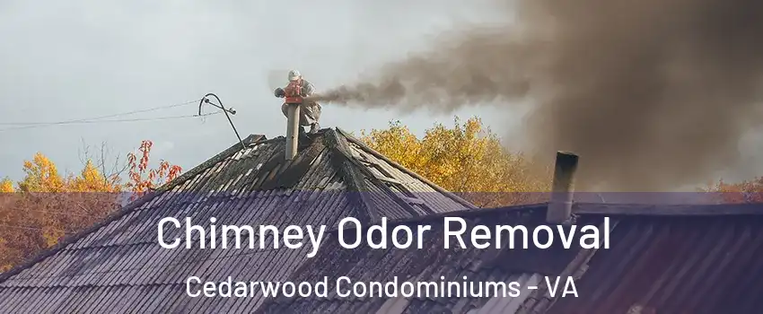 Chimney Odor Removal Cedarwood Condominiums - VA