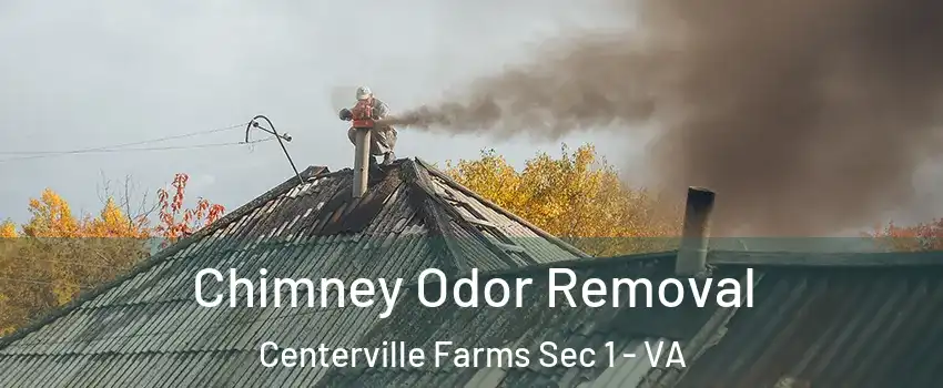 Chimney Odor Removal Centerville Farms Sec 1 - VA