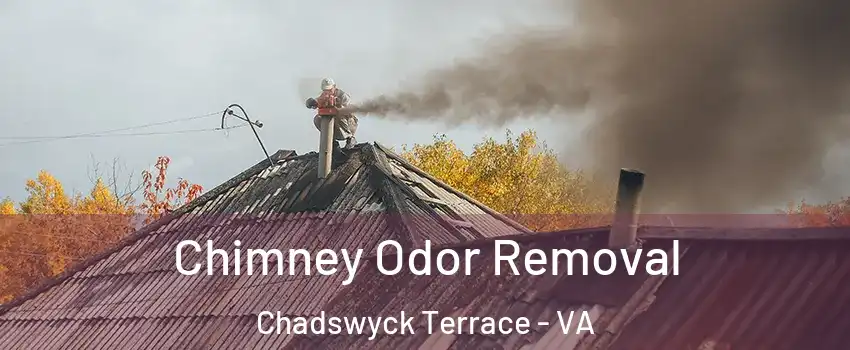 Chimney Odor Removal Chadswyck Terrace - VA