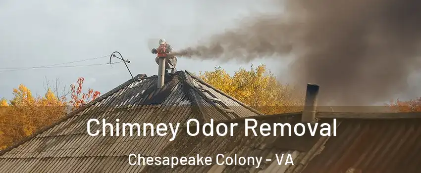 Chimney Odor Removal Chesapeake Colony - VA