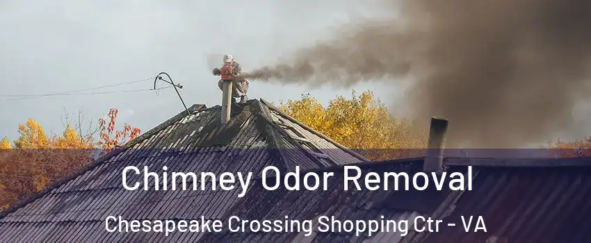 Chimney Odor Removal Chesapeake Crossing Shopping Ctr - VA