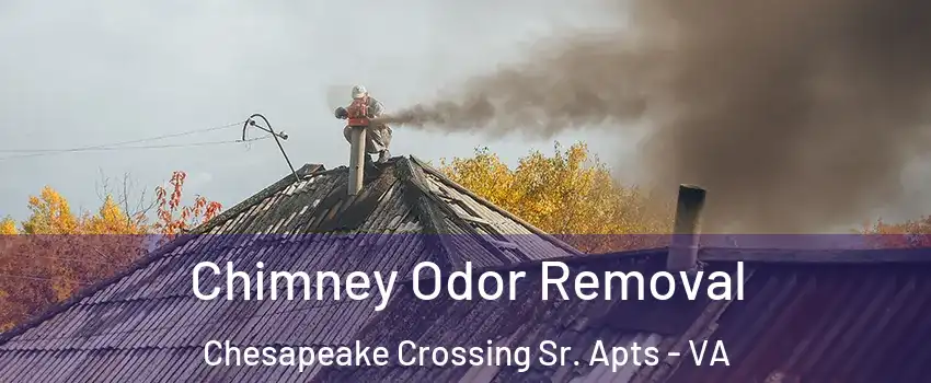Chimney Odor Removal Chesapeake Crossing Sr. Apts - VA