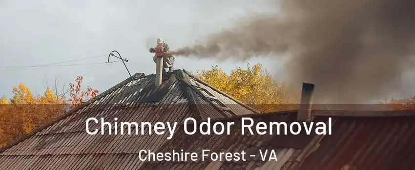 Chimney Odor Removal Cheshire Forest - VA
