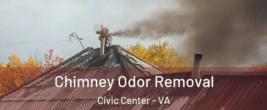 Chimney Odor Removal Civic Center - VA