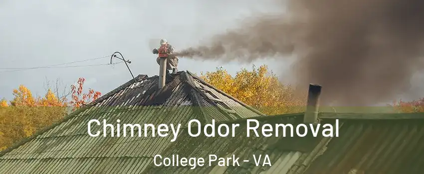 Chimney Odor Removal College Park - VA