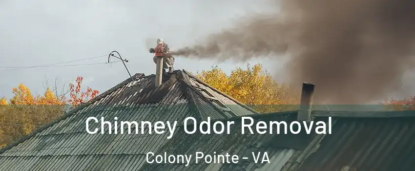 Chimney Odor Removal Colony Pointe - VA