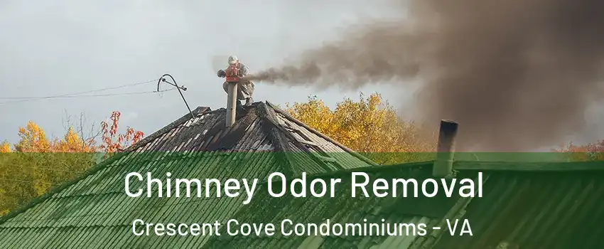 Chimney Odor Removal Crescent Cove Condominiums - VA