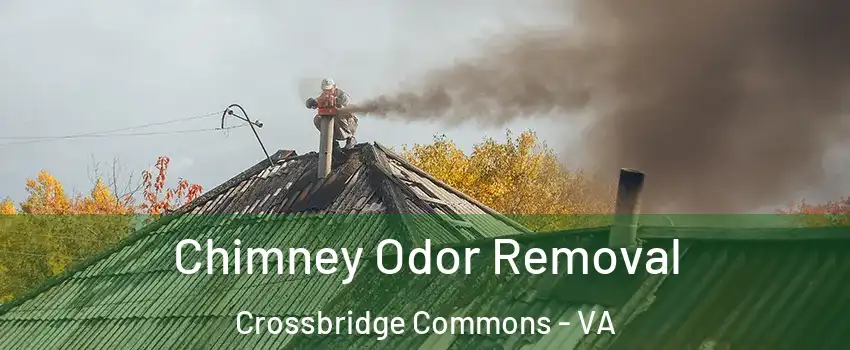 Chimney Odor Removal Crossbridge Commons - VA