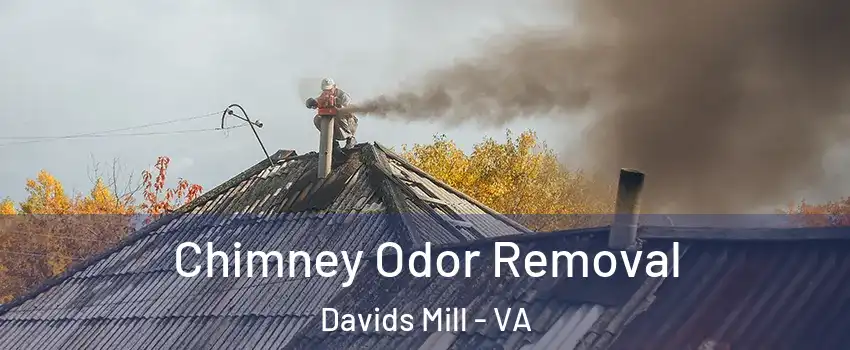 Chimney Odor Removal Davids Mill - VA