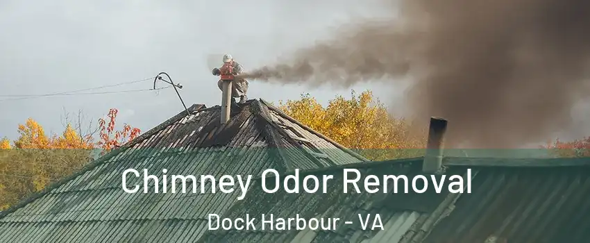 Chimney Odor Removal Dock Harbour - VA